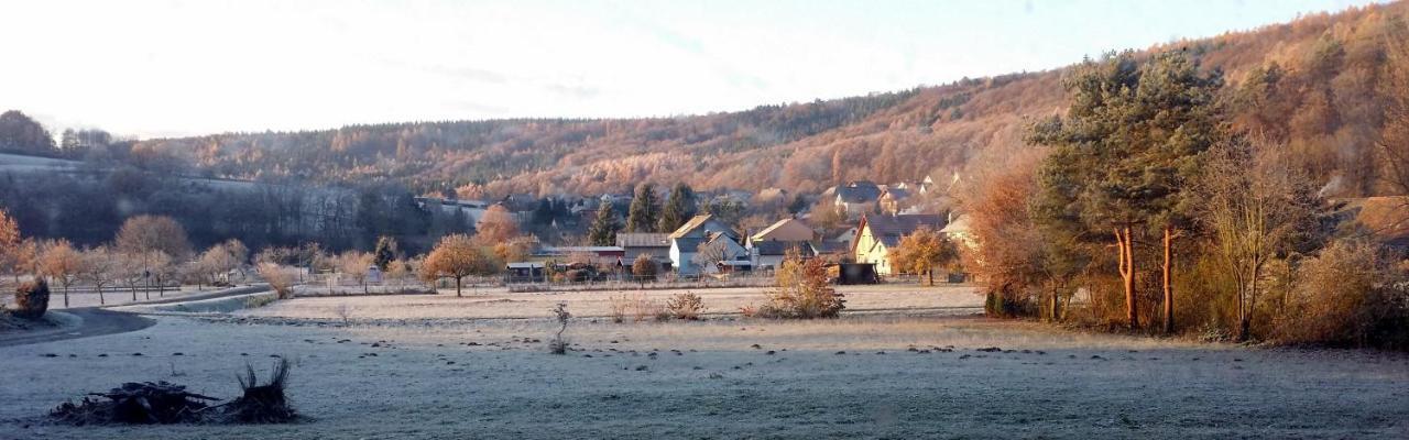 Landgasthof Zum Hirschen Hafenlohr エクステリア 写真